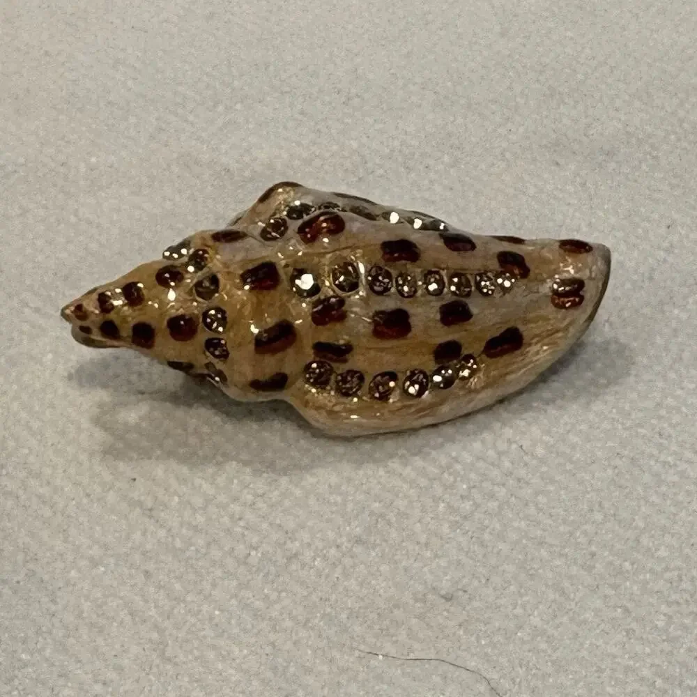 Jay Strongwater Vintage Shell Brooch, Pendant Enameled Swarovski Crystals